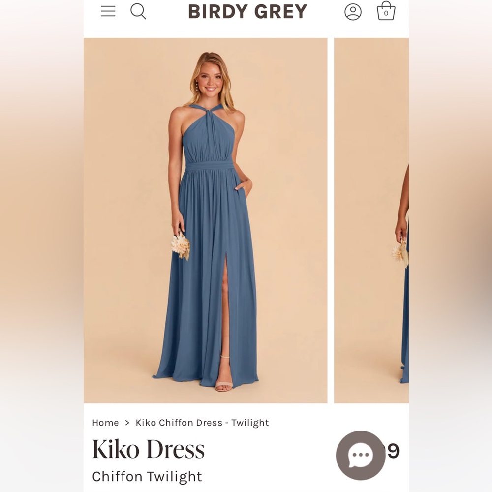 Birdy Grey Kiko bridesmaid dress size xs chiffon twilight